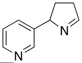 (+/-)-Iso Myosmine, Technical Grade