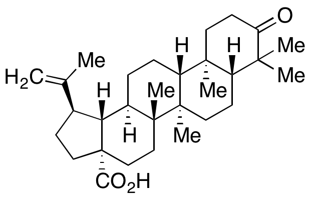 (+)-Betulonic Acid