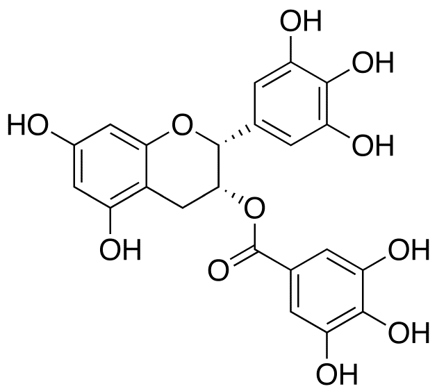 (-)-Epigallocatechin Gallate