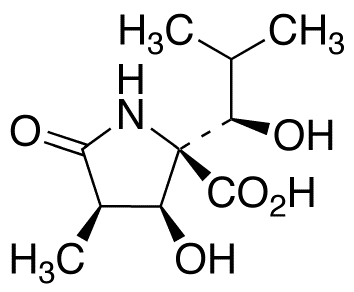 (3R,4S,5R)-4-Hydroxy-5-[(1S)-1-hydroxy-2-methylpropyl]-3-methyl-2-pyrrolidinone-5-carboxylic Acid