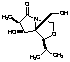 (3R,4S,5R,6S)-1-Aza-4-hydroxy-5-hydroxymethyl-6-isopropyl-3-methyl-7-oxabicycl[3.3.0]octan-2-one