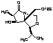 (3R,4S,5S,6S)-1-Aza-5-(t-butyldimethylsilyloxymethyl)-4-hydroxy-6-isopropyl-3-methyl-7-oxabicyclo[3.3.0]-octan-2-one