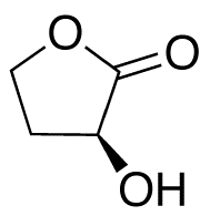 (3S)-3-Hydroxydihydrofuran-2(3H)-one