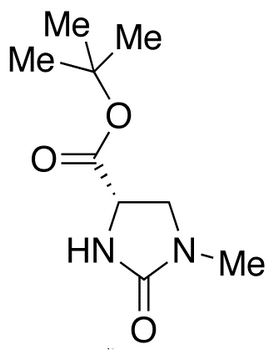 (4S)-1-Methyl-2-oxo-4-imidazolidinecarboxylic Acid, tert-Butyl Ester