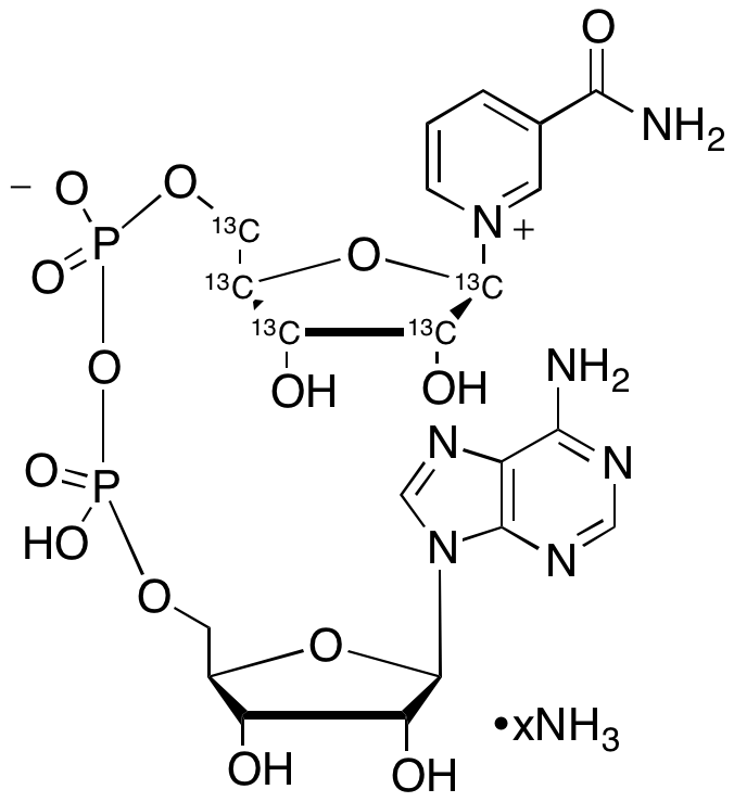 β-Nicotinamide Adenine Dinucleotide-13C5 Ammonium Salt