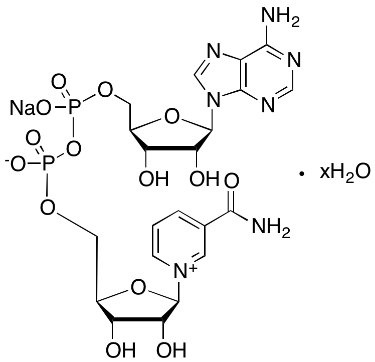 β-Nicotinamide Adenine Dinucleotide Sodium Salt Hydrate