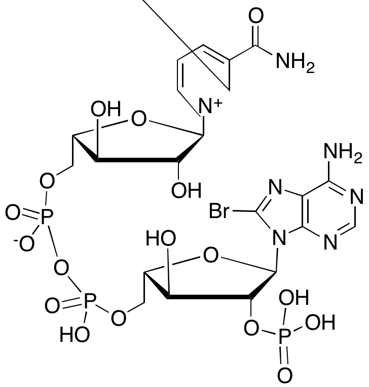 1-[(2R,3R,4R,5S)-5-{[({[(2S,3S,4R,5R)-5-(6-Amino-8-bromo-9H-purin-9-yl)-3-hydroxy-4-(phosphonooxy)oxolan-2-yl]methoxy}(hydroxy)phosphoryl phosphonato)oxy]methyl}-3,4-dihydroxyoxolan-2-yl]-3-carbamoyl-