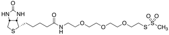 1-Biotinylamino-3,6,9-trioxaundecane-11-yl-methanethiosulfonate