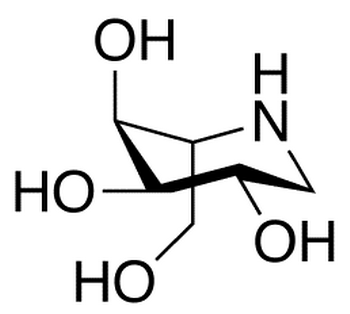 1-Deoxy-L-altronojirimycin Hydrochloride