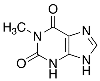 1-Methyl Xanthine