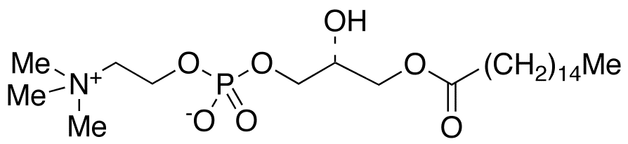 1-Palmitoyl-sn-glycero-3-phosphocholine