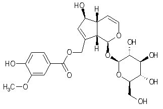 10-O-Vanilloylaucubin