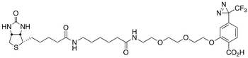 2-[2-[2-[2-[6-(Biotinylaminohexanoyl]aminoethoxy]ethoxy]ethoxy]-4-[3-(trifluoromethyl)-3H-diazirin-3-yl]benzoic Acid