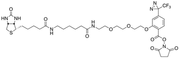 2-[2-[2-[2-[6-(Biotinylaminohexanoyl]aminoethoxy]ethoxy]ethoxy]-4-[3-(trifluoromethyl)-3H-diazirin-3-yl]benzoic Acid N-Hydroxysuccinimide Ester