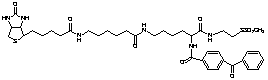 2-[Nα-Benzoylbenzoicamido-N6-(6-biotinamidocaproyl)-L-lysinylamido]ethyl Methanethiosulfonate