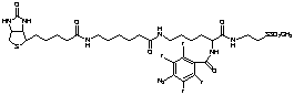 2-[N2-(4-Azido-2,3,5,6-tetrafluorobenzoyl)-N6-(6-biotinamidocaproyl)-L-lysinyl]ethyl Methanethiosulfonate