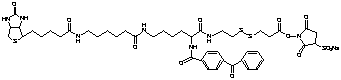 2-{N2-[Nα-Benzoylbenzoicamido-N6-6-biotinamidocaproyl]lysinylamido}ethyl-2’-(N-sulfosuccinimidylcarboxy)ethyl Disulfide Sodium Salt