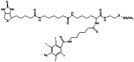 2-{N2-[N6-(4-Azido-2,3,5,6-tetrafluorobenzoyl)-6- aminocaproyl]-N6-(6-biotinamidocaproyl)-L -lysinylamido}ethyl Methanethiosulfonate