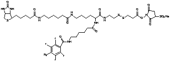 2-{N2-[N6-(4-Azido-2,3,5,6-tetrafluorobenzoyl)-6 -aminocaproyl]-N6-(6-biotinamidocaproyl)-L-lysinylamido}] Ethyl 2-(N-Sulfosuccinimydylcarboxy)ethyl Disulfide, Sodium Salt