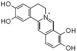 2,3,9,10-Tetrahydroxyberberine