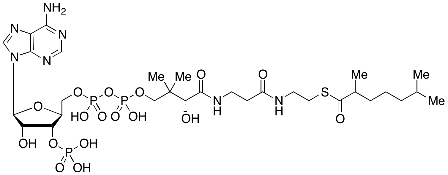 2,6-Dimethylheptanoyl-CoA