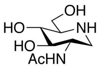 2-Acetamido-1,2-dideoxynojirimycin