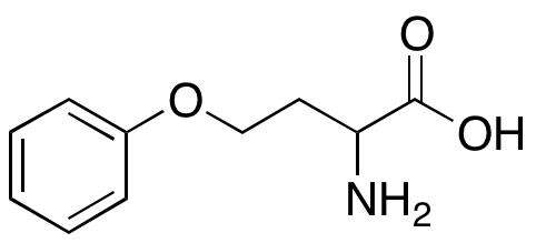 2-Amino-4-phenoxybutanoic Acid