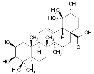 2-Epitormentic acid