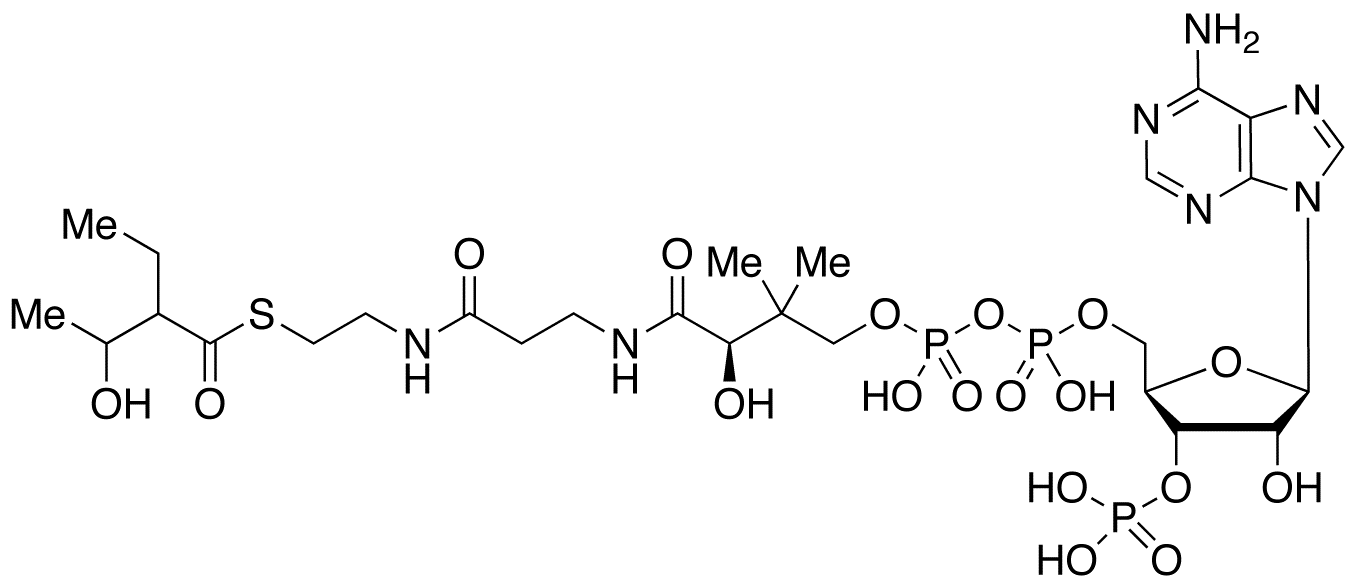 2-Ethyl-3-Hydroxybutyryl Coenzyme A