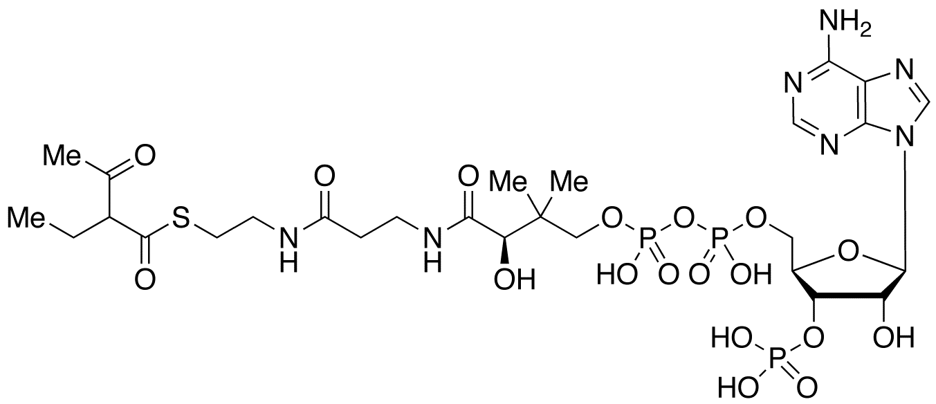 2-Ethyl-3-oxobutyryl Coenzyme A