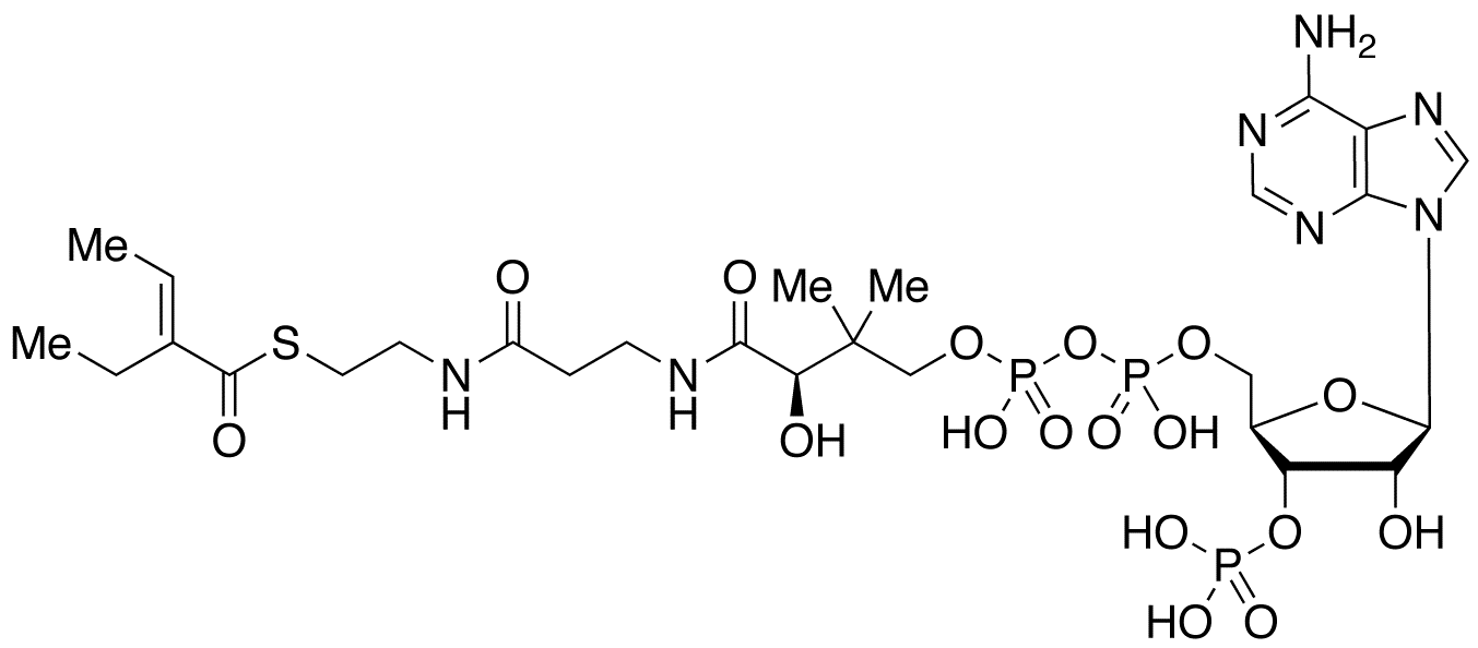 2-Ethyl Crotonyl Coenzyme A