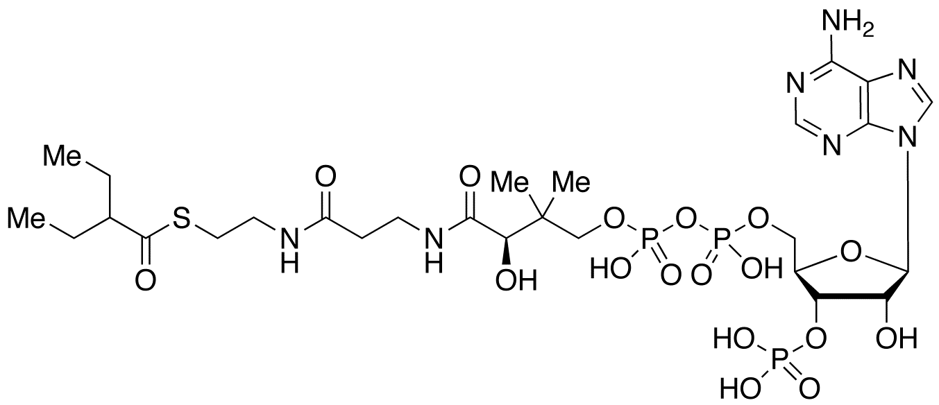 2-Ethylbutyryl Coenzyme A