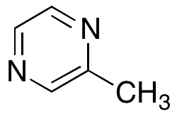 2-Methylpyrazine