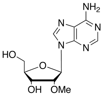 2’-O-Methyl Adenosine