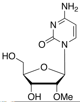 2’-O-Methyl Cytidine