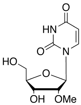 2’-O-Methyl Uridine