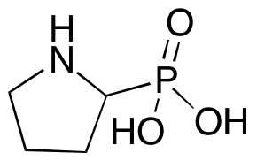 2-Pyrrolidinylphosphonic Acid