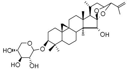 25-Anhydrocimigenol 3-O-beta-D-xyloside