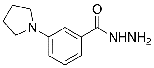 3-(1-Pyrrolidinyl)benzoic Acid Hydrazide