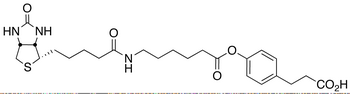 3-(4-(N-Biotinoyl-6-aminocaproyloxy)phenyl)propionic Acid