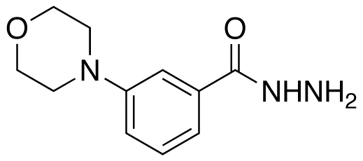 3-(4-Morpholinyl)benzoic Acid Hydrazide