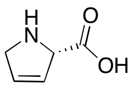 3,4-Dehydro-L-proline