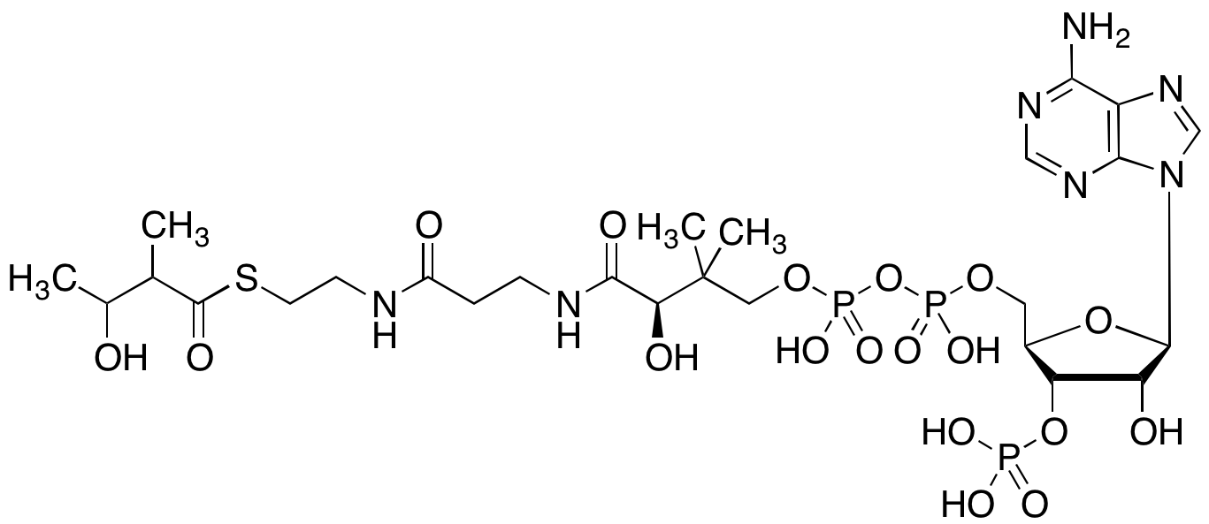 3-Hydroxy-2-methylbutyryl-CoA