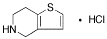 4,5,6,7-Tetrahydrothieno[3,2-c]pyridine Hydrochloride