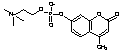 4-Methylumbelliferyl Phosphocholine