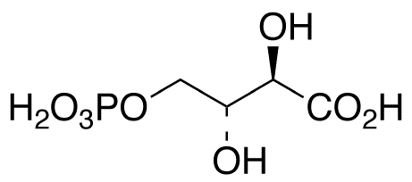 4-Phospho D-Erythronate