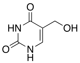 5-Hydroxymethyluracil