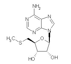 5’-S-Methyl-5’-thioadenosine