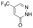 5-Trifluoromethyl-2H-pyridazine-3-one