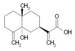 5alpha-Hydroxycostic acid